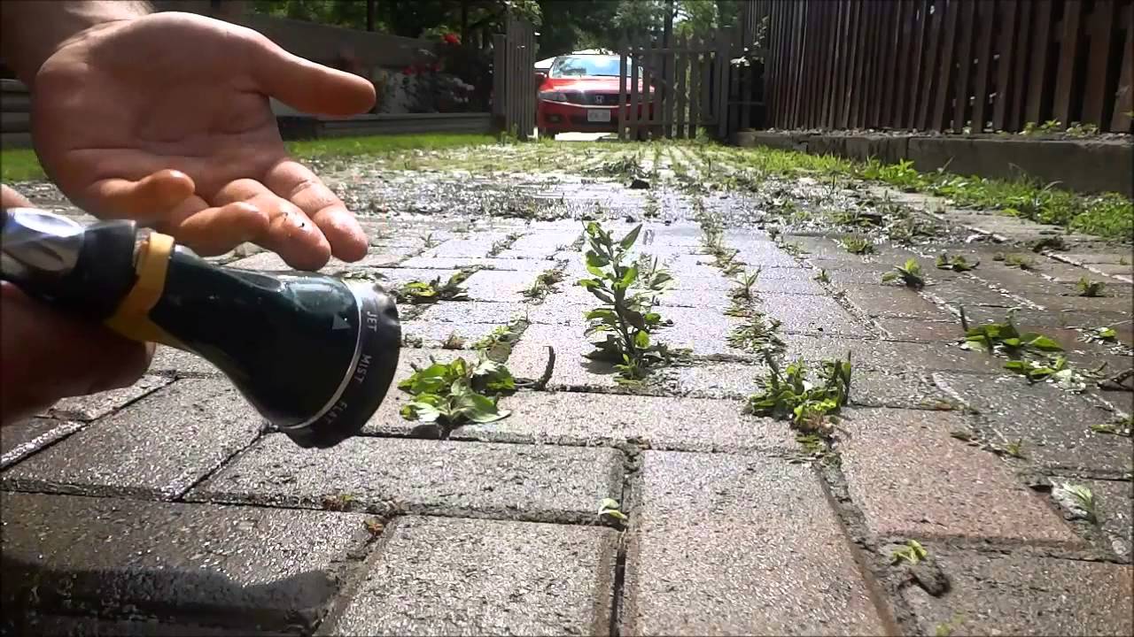 Как избавиться от сорняков на тротуарной плитке